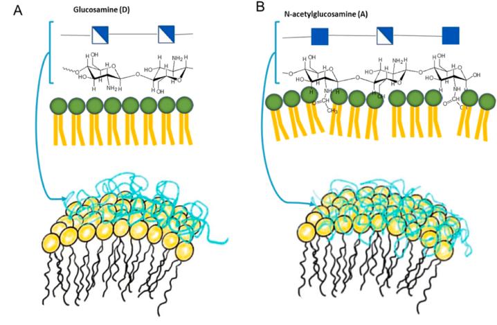 https://cdn.ncbi.nlm.nih.gov/pmc/blobs/4dd6/11325287/b50d54928fb3/gr7.jpg