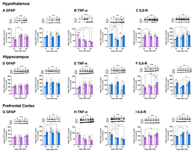 https://cdn.ncbi.nlm.nih.gov/pmc/blobs/4dda/10781034/70afdada9b6b/nutrients-16-00067-g008.jpg