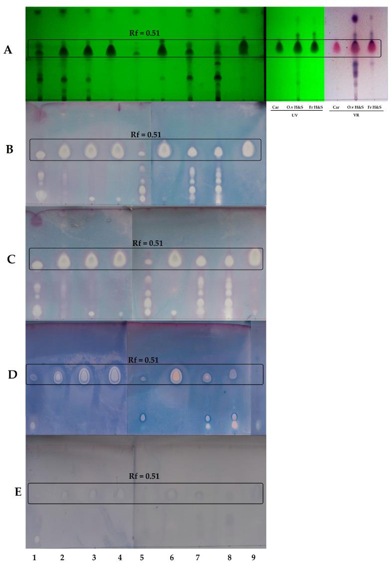 https://cdn.ncbi.nlm.nih.gov/pmc/blobs/4dde/10096388/d965783614e4/molecules-28-03044-g001.jpg