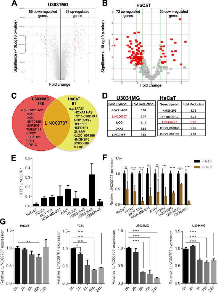https://cdn.ncbi.nlm.nih.gov/pmc/blobs/4dde/10544626/fa3252ec7754/12964_2023_1273_Fig1_HTML.jpg