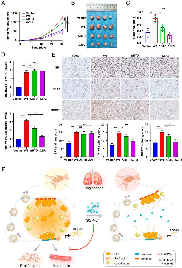 https://cdn.ncbi.nlm.nih.gov/pmc/blobs/4de0/11260144/ccb18cc406de/pnas.2401834121fig06.jpg