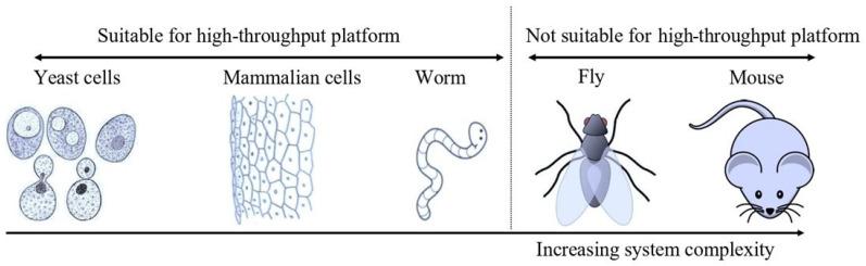 https://cdn.ncbi.nlm.nih.gov/pmc/blobs/4de4/10974075/d29a2082b98a/microorganisms-12-00578-g001.jpg