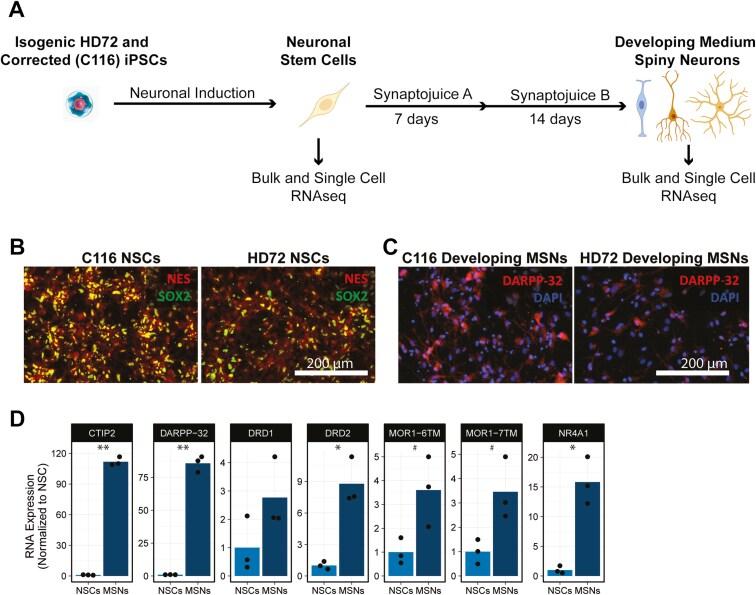https://cdn.ncbi.nlm.nih.gov/pmc/blobs/4de8/12277964/aa1219a03497/sxaf029_fig1.jpg
