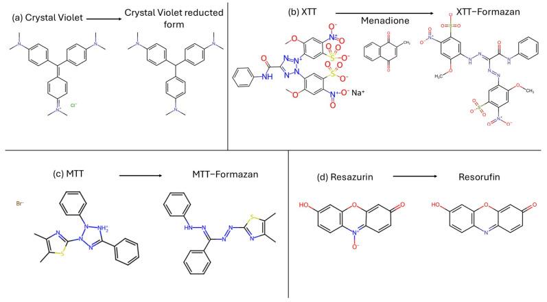 https://cdn.ncbi.nlm.nih.gov/pmc/blobs/4df6/12291794/6ed45371d237/antibiotics-14-00718-g004.jpg