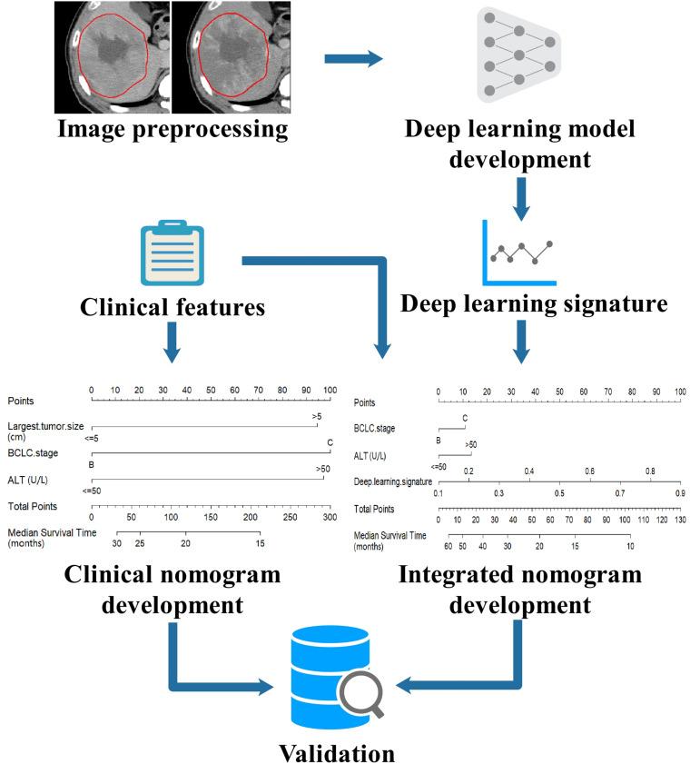 https://cdn.ncbi.nlm.nih.gov/pmc/blobs/4e34/7556271/3401e6ab5bba/fonc-10-593292-g001.jpg