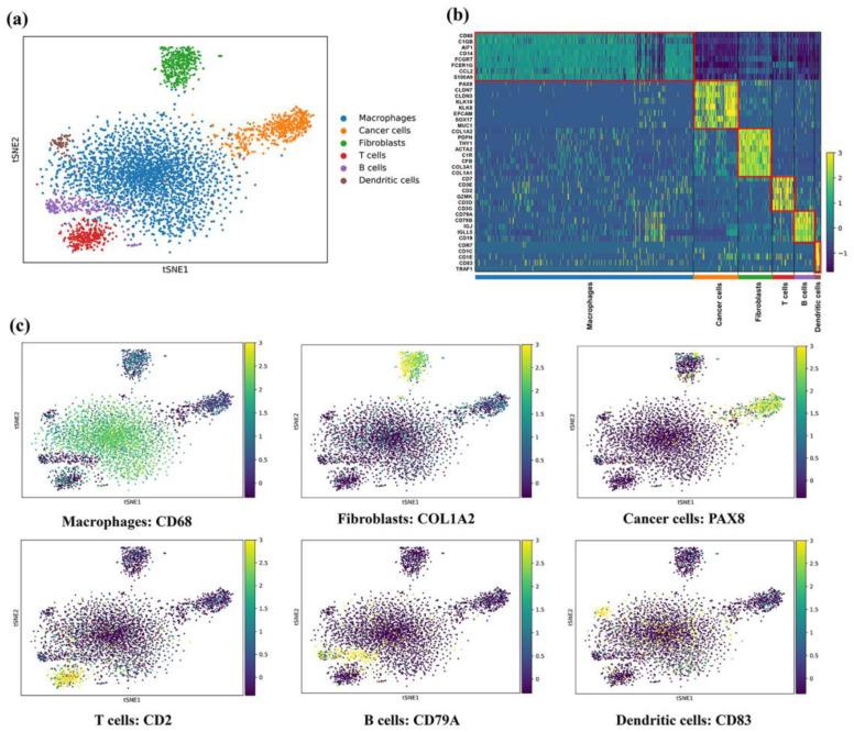 https://cdn.ncbi.nlm.nih.gov/pmc/blobs/4e48/9778425/a11955e57ab6/genes-13-02276-g002.jpg