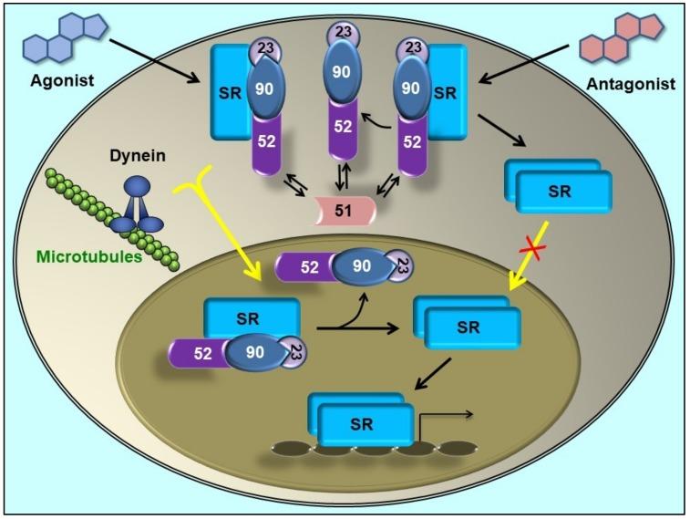 https://cdn.ncbi.nlm.nih.gov/pmc/blobs/4e57/6406450/6823a54faf6b/biomolecules-09-00052-g002.jpg