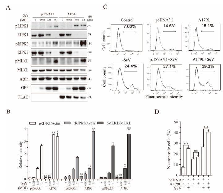 https://cdn.ncbi.nlm.nih.gov/pmc/blobs/4e58/8708531/a36de7656ad3/viruses-13-02490-g005.jpg