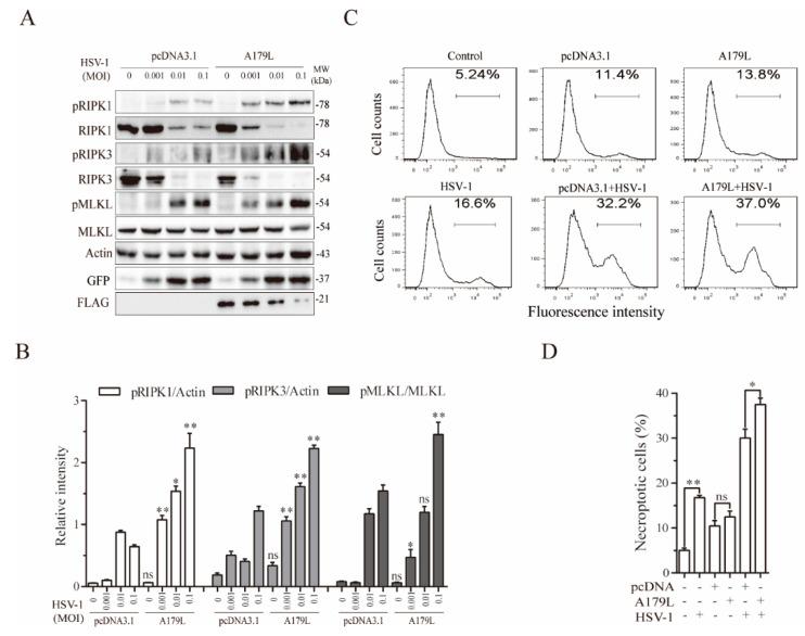 https://cdn.ncbi.nlm.nih.gov/pmc/blobs/4e58/8708531/f2a656914bde/viruses-13-02490-g003.jpg