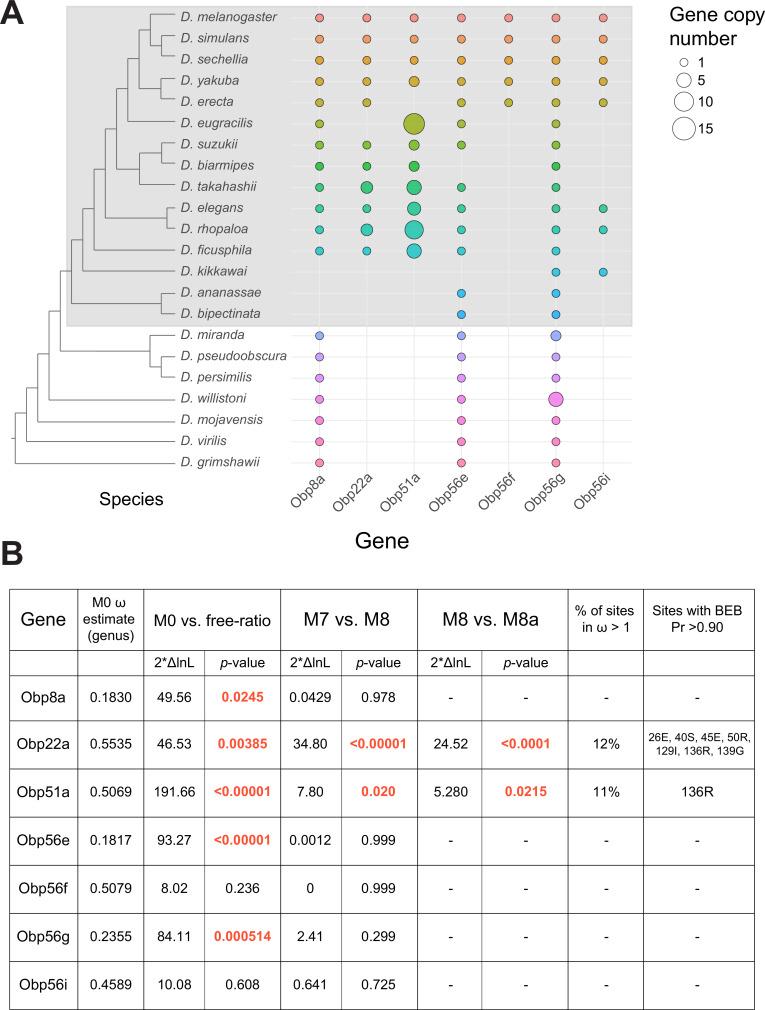 https://cdn.ncbi.nlm.nih.gov/pmc/blobs/4e69/10834028/247515506c52/elife-86409-fig5.jpg