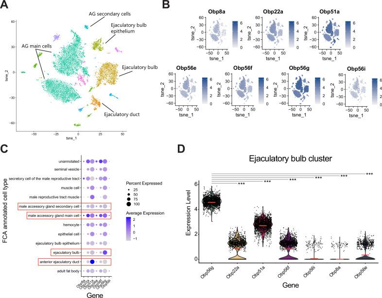 https://cdn.ncbi.nlm.nih.gov/pmc/blobs/4e69/10834028/2e0ec2ac5fa3/elife-86409-fig3-figsupp2.jpg