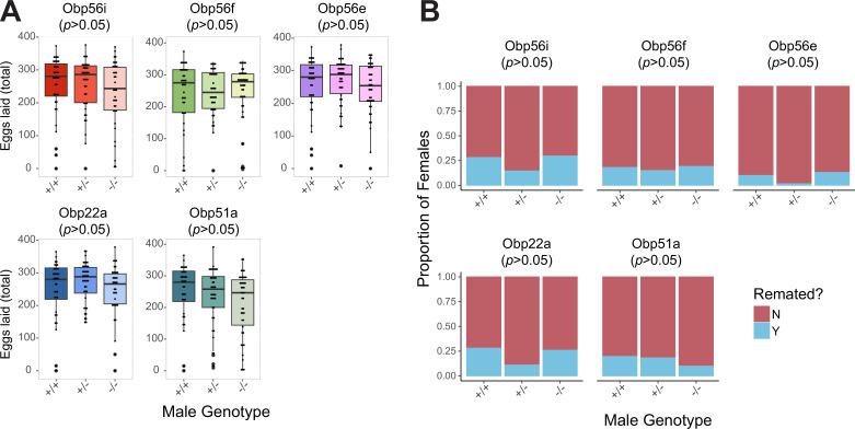 https://cdn.ncbi.nlm.nih.gov/pmc/blobs/4e69/10834028/821649b21903/elife-86409-fig2-figsupp2.jpg