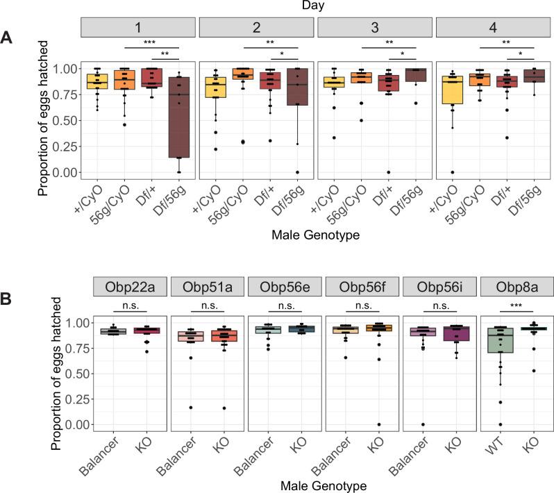 https://cdn.ncbi.nlm.nih.gov/pmc/blobs/4e69/10834028/abdb934fd3a9/elife-86409-fig2-figsupp3.jpg
