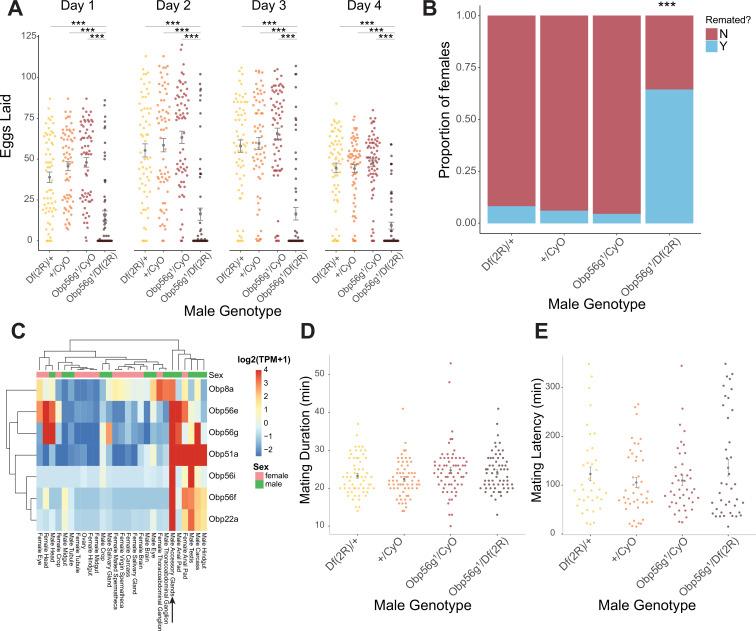 https://cdn.ncbi.nlm.nih.gov/pmc/blobs/4e69/10834028/b7efd00e5722/elife-86409-fig1.jpg