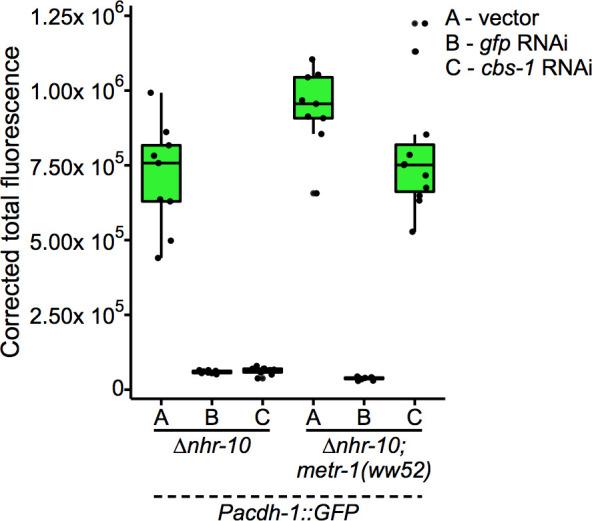 https://cdn.ncbi.nlm.nih.gov/pmc/blobs/4e74/7561351/290571fb55f8/elife-60259-fig5-figsupp2.jpg
