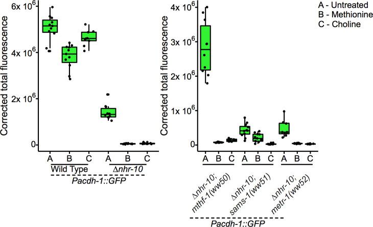 https://cdn.ncbi.nlm.nih.gov/pmc/blobs/4e74/7561351/3155c6ec2c05/elife-60259-fig5-figsupp3.jpg