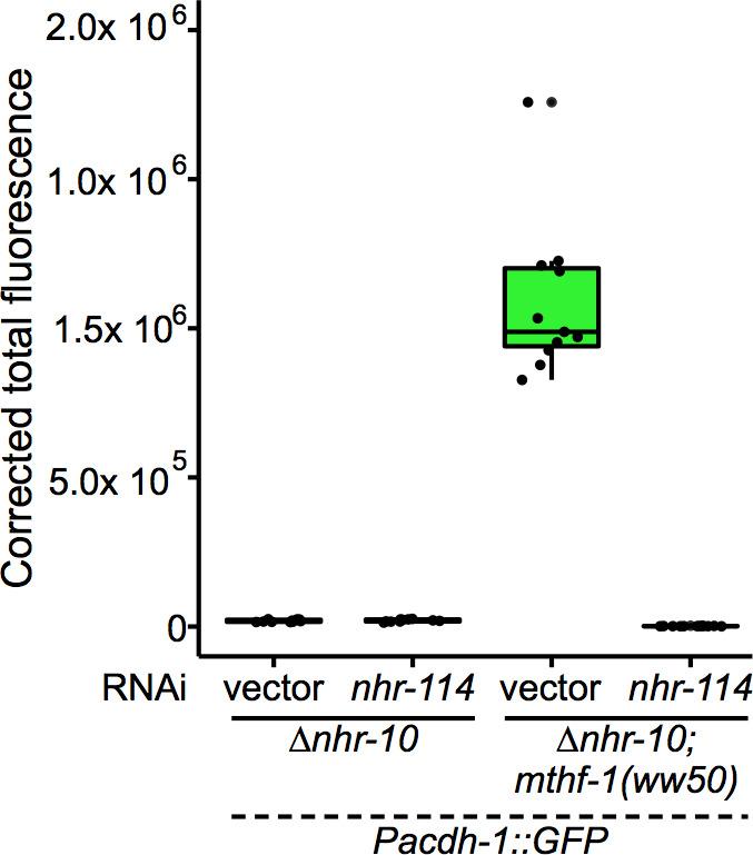 https://cdn.ncbi.nlm.nih.gov/pmc/blobs/4e74/7561351/4cebba3da498/elife-60259-fig4-figsupp3.jpg