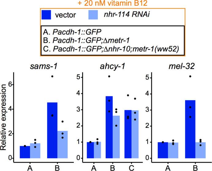 https://cdn.ncbi.nlm.nih.gov/pmc/blobs/4e74/7561351/a8975caa9238/elife-60259-fig4-figsupp5.jpg