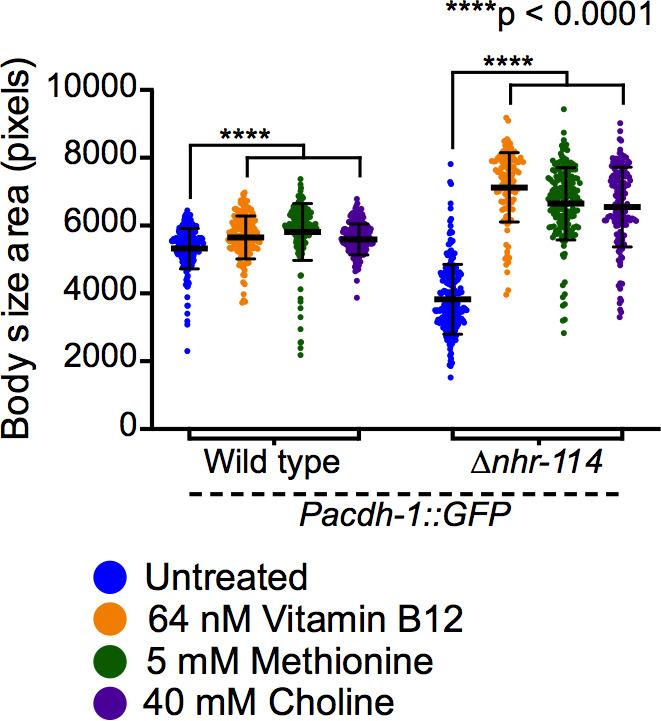 https://cdn.ncbi.nlm.nih.gov/pmc/blobs/4e74/7561351/bcb9779f9f71/elife-60259-fig4-figsupp4.jpg