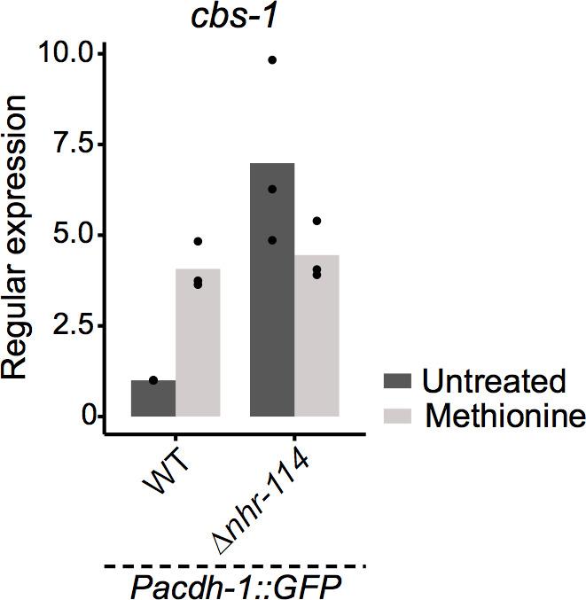 https://cdn.ncbi.nlm.nih.gov/pmc/blobs/4e74/7561351/e7f6bd2f2ceb/elife-60259-fig6-figsupp1.jpg