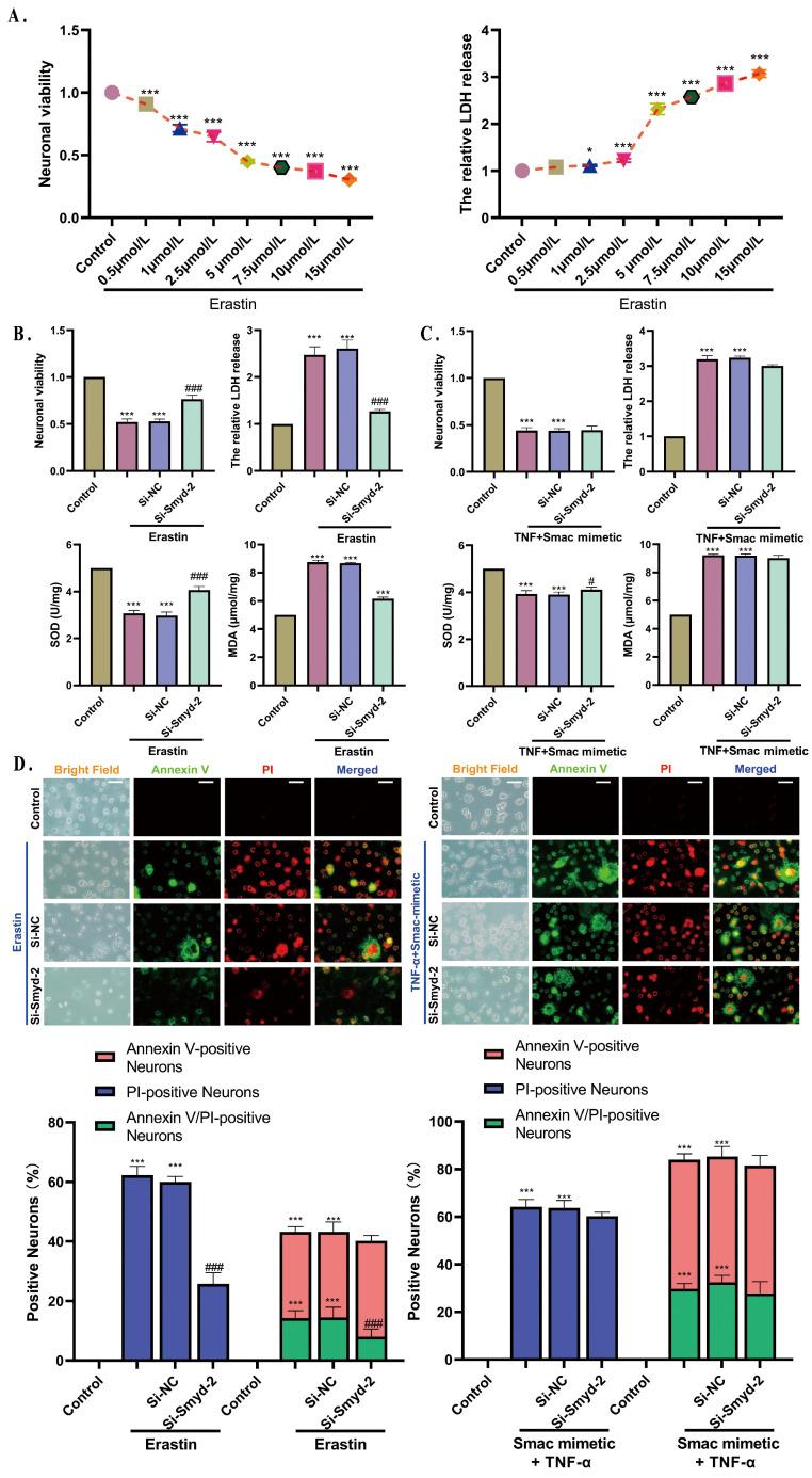 https://cdn.ncbi.nlm.nih.gov/pmc/blobs/4e99/11639856/e1506a3d72d4/cells-13-01969-g005.jpg