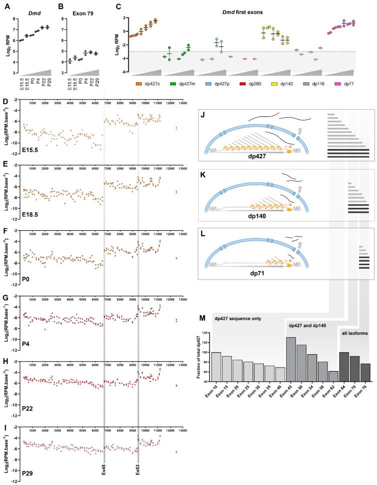https://cdn.ncbi.nlm.nih.gov/pmc/blobs/4ecf/10377302/415d79e6c2a3/biomedicines-11-02082-g009.jpg