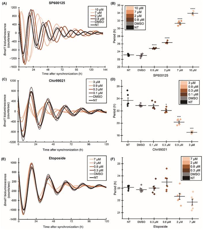 https://cdn.ncbi.nlm.nih.gov/pmc/blobs/4edc/7273620/505f7ff91be0/10.1177_1534735420924094-fig3.jpg