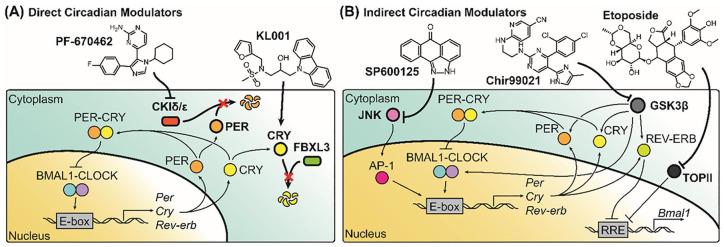 https://cdn.ncbi.nlm.nih.gov/pmc/blobs/4edc/7273620/66dc2bcd3e82/10.1177_1534735420924094-fig1.jpg