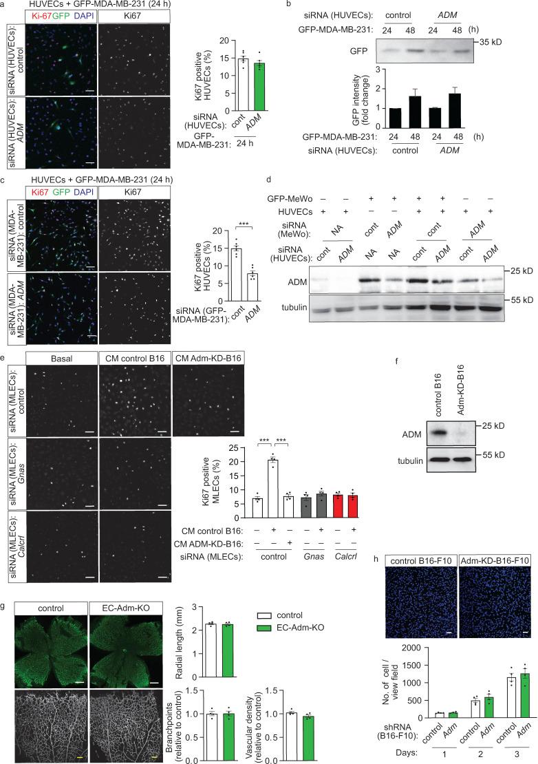 https://cdn.ncbi.nlm.nih.gov/pmc/blobs/4f66/9665902/c58bbf06913b/JEM_20211628_FigS3.jpg