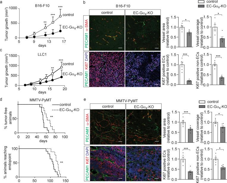 https://cdn.ncbi.nlm.nih.gov/pmc/blobs/4f66/9665902/f3b17c9d17b8/JEM_20211628_Fig1.jpg