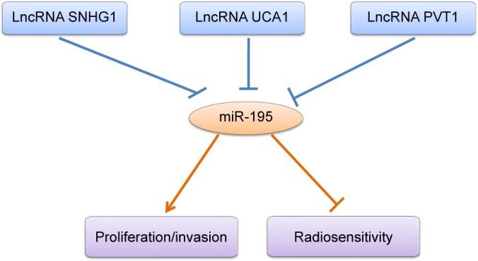https://cdn.ncbi.nlm.nih.gov/pmc/blobs/4f68/6200091/997a0c20d1e0/ott-11-7109Fig4.jpg