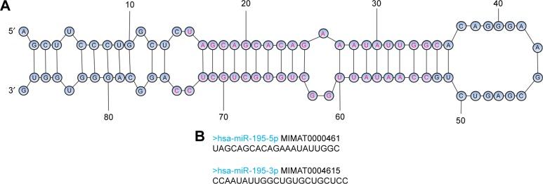 https://cdn.ncbi.nlm.nih.gov/pmc/blobs/4f68/6200091/e25ab6d5dd18/ott-11-7109Fig1.jpg