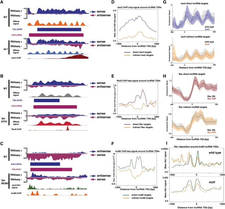 https://cdn.ncbi.nlm.nih.gov/pmc/blobs/4fa9/4215180/76ceade3b053/2348fig5.jpg