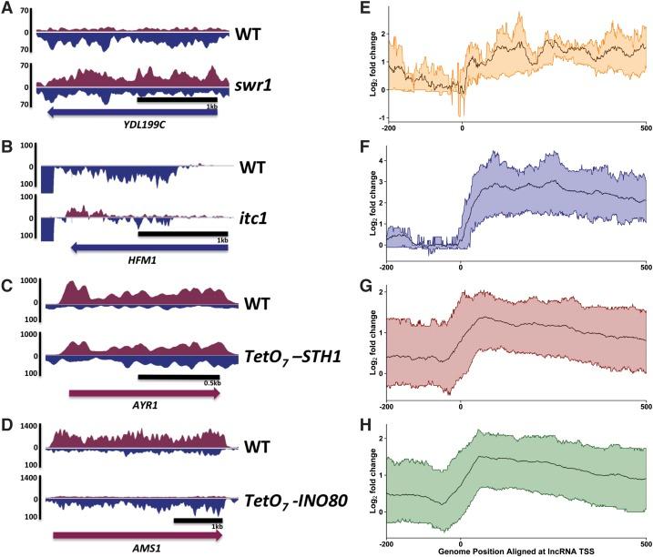 https://cdn.ncbi.nlm.nih.gov/pmc/blobs/4fa9/4215180/f41618db4302/2348fig3.jpg