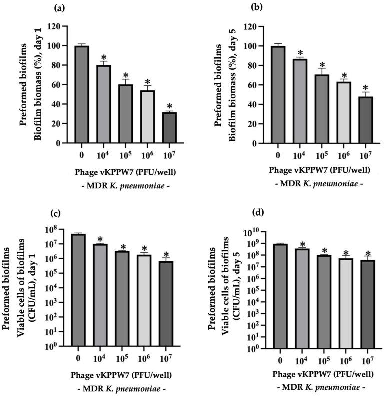 https://cdn.ncbi.nlm.nih.gov/pmc/blobs/4fae/11852161/8824583dd0fb/antibiotics-14-00157-g008.jpg