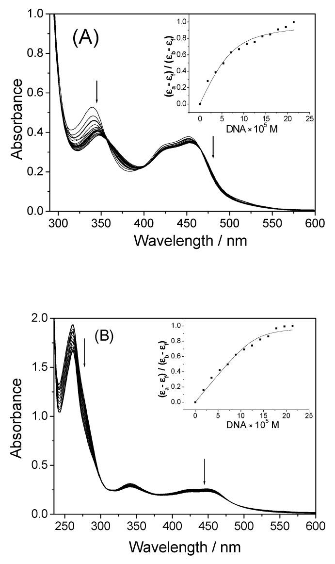 https://cdn.ncbi.nlm.nih.gov/pmc/blobs/4fb5/8201372/497bef3d20a0/molecules-26-03471-g001.jpg