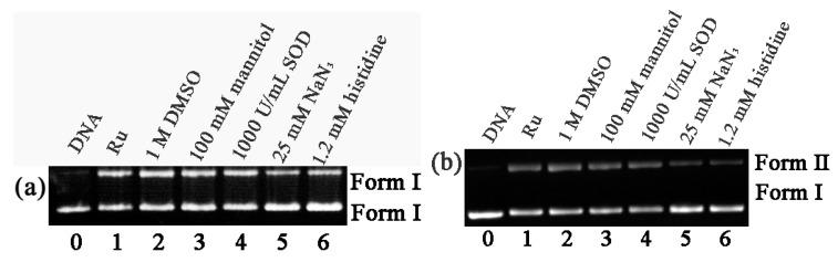 https://cdn.ncbi.nlm.nih.gov/pmc/blobs/4fb5/8201372/e92dad10d3e3/molecules-26-03471-g006.jpg