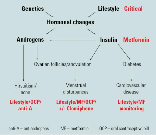 https://cdn.ncbi.nlm.nih.gov/pmc/blobs/4fd9/2909929/5ca744fbc148/1741-7015-8-41-2.jpg