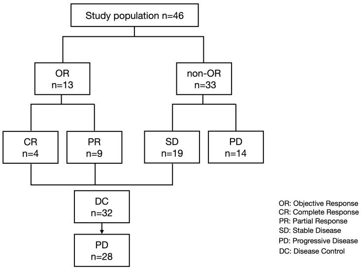 https://cdn.ncbi.nlm.nih.gov/pmc/blobs/5007/9913372/4abff6bd10cb/cancers-15-00593-g001.jpg
