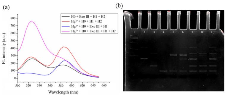 https://cdn.ncbi.nlm.nih.gov/pmc/blobs/5010/12025150/2f84df68ae2c/biosensors-15-00213-g001.jpg