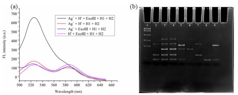 https://cdn.ncbi.nlm.nih.gov/pmc/blobs/5010/12025150/5b46c09adab3/biosensors-15-00213-g002.jpg