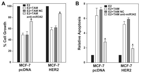 https://cdn.ncbi.nlm.nih.gov/pmc/blobs/501c/3024251/50d7966406fd/1476-4598-9-317-3.jpg