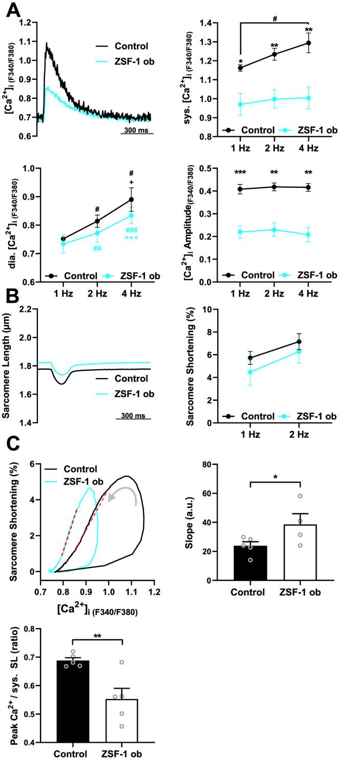 https://cdn.ncbi.nlm.nih.gov/pmc/blobs/5029/8318431/f4ffa19697e2/EHF2-8-3130-g001.jpg