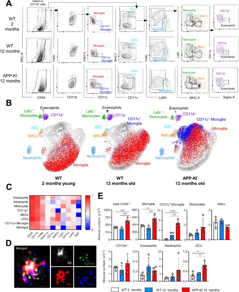 https://cdn.ncbi.nlm.nih.gov/pmc/blobs/502c/8523151/36897d31d23b/elife-71879-fig1.jpg