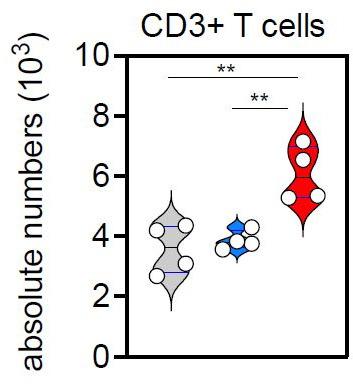 https://cdn.ncbi.nlm.nih.gov/pmc/blobs/502c/8523151/f8da63bde17d/elife-71879-sa2-fig1.jpg