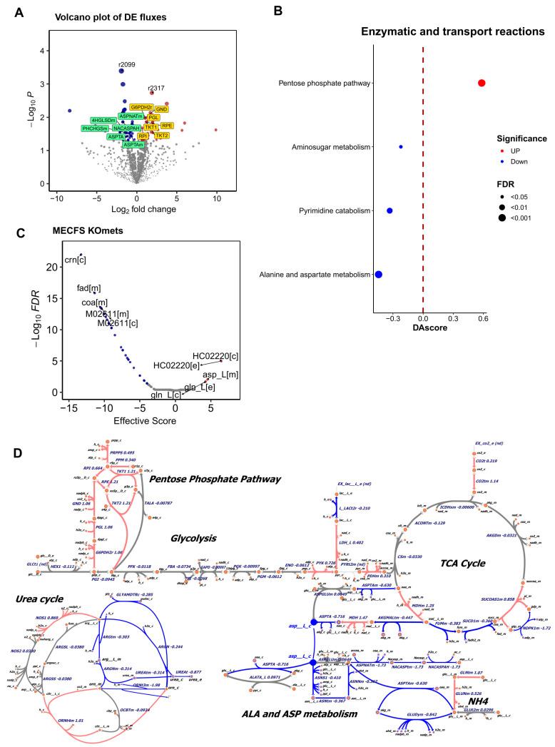 https://cdn.ncbi.nlm.nih.gov/pmc/blobs/503b/12250530/3a91136dce25/ijms-26-06082-g002.jpg