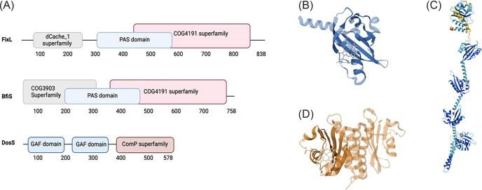https://cdn.ncbi.nlm.nih.gov/pmc/blobs/506f/12071387/27c221b0ca28/fuaf018fig1.jpg