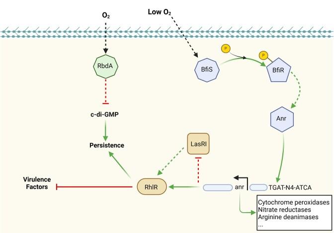 https://cdn.ncbi.nlm.nih.gov/pmc/blobs/506f/12071387/7db738541554/fuaf018fig4.jpg