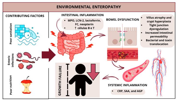https://cdn.ncbi.nlm.nih.gov/pmc/blobs/507d/12073655/625a9190c719/nutrients-17-01479-g002.jpg