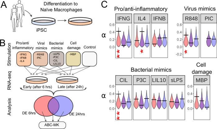 https://cdn.ncbi.nlm.nih.gov/pmc/blobs/507f/11605006/911952ddb665/41467_2024_54603_Fig5_HTML.jpg